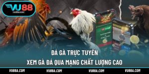 Đá Gà Trực Tuyến
