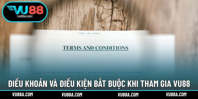 Điều khoản và điều kiện bắt buộc khi tham gia VU88