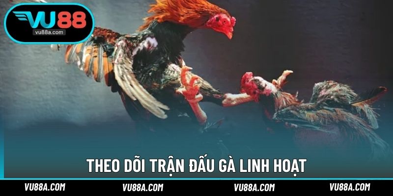 Theo dõi trận đấu gà linh hoạt